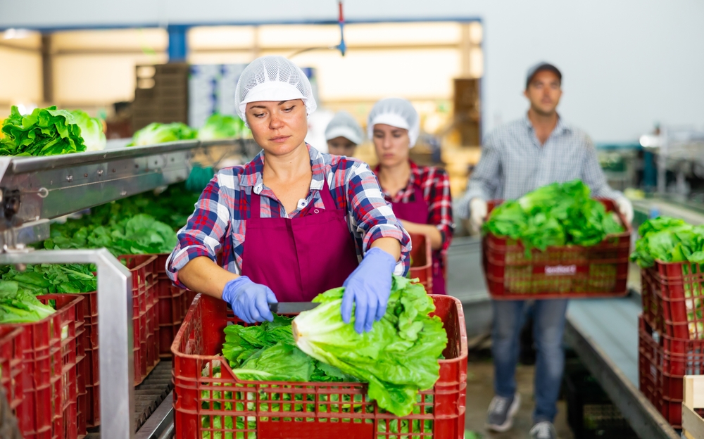 Beeld: Shutterstock