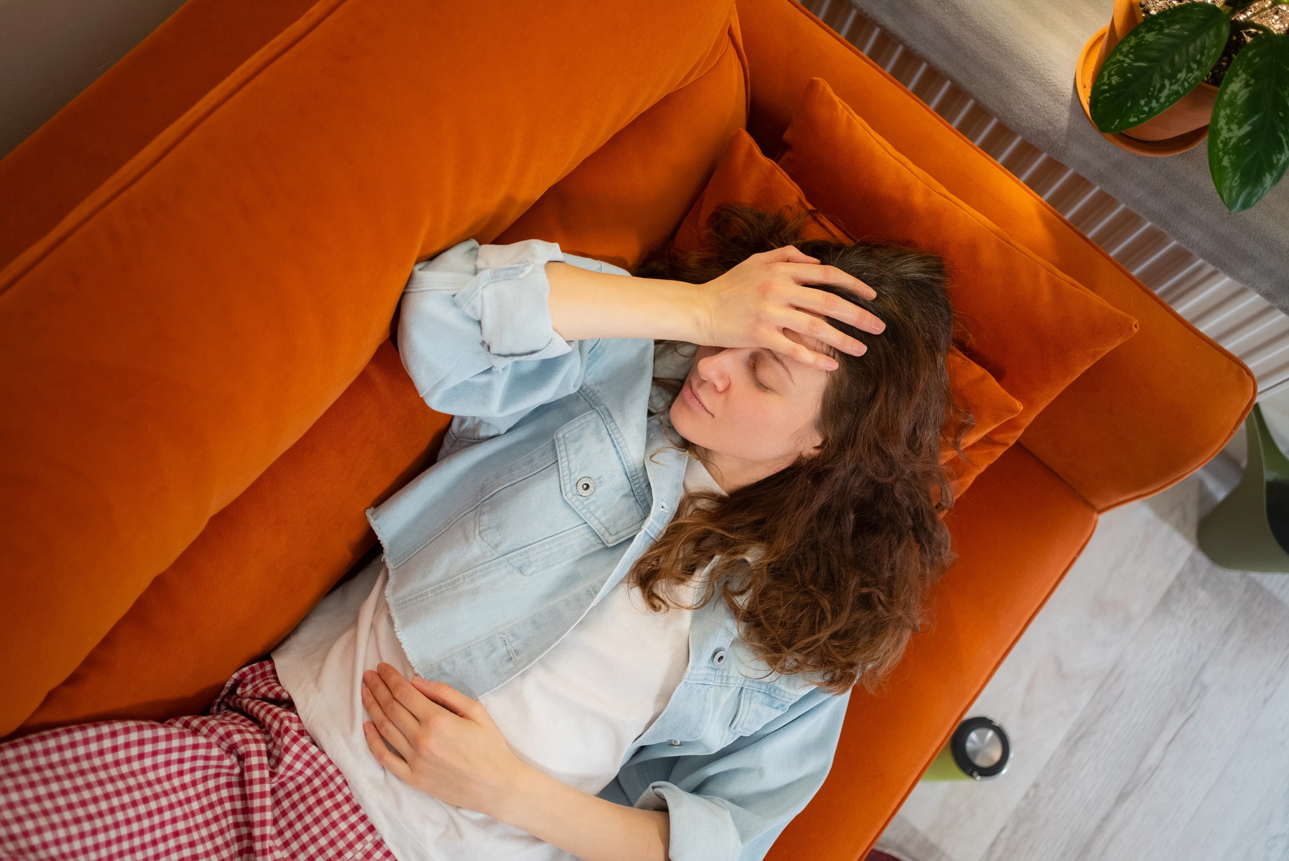 Beeld: Shutterstock